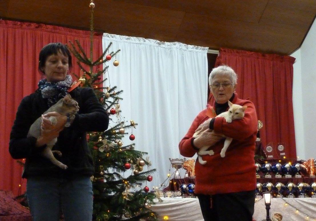 10382512_767023766666334_5849732359466326498_o