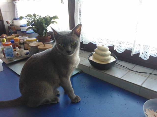 1174615_625817530772407_586390519_n