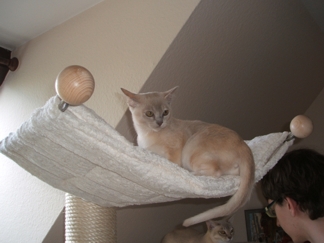 31.5.14 Kleo in Trier