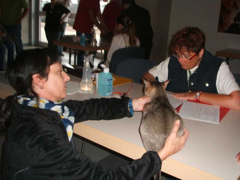 Alana beim Richten 5.9.15 FB