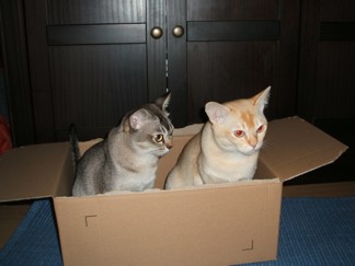 Alana und Skadi beim fliegen