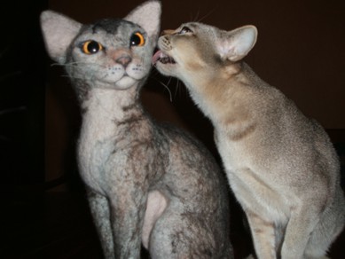 Alana und die Stoffburma FB