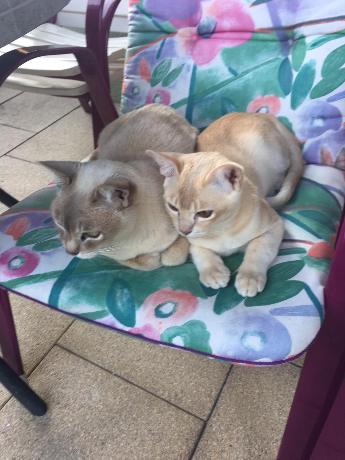 Barnie und Eros 15.6.18