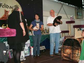 Jimmi Best of over  All