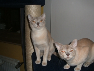 KatinkauKessy5.10.14