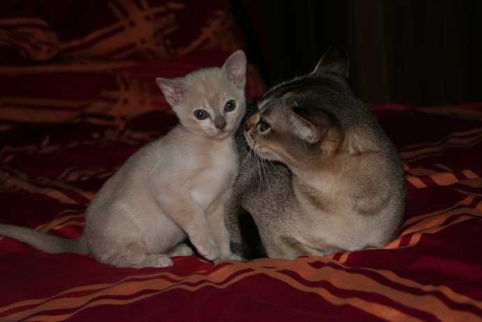 Kessy und Alana 5.4.14 d FB