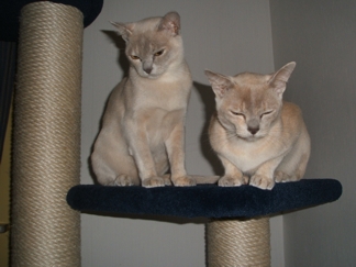 KessyuKatinka5.10.14