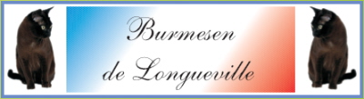 LonguevilleBanner