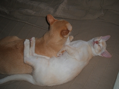 Skadi u Jimmi 2.8.14 FB