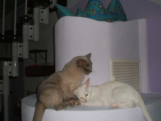 Thora u Odin 20.7.16