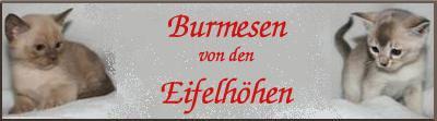 eifelbanner